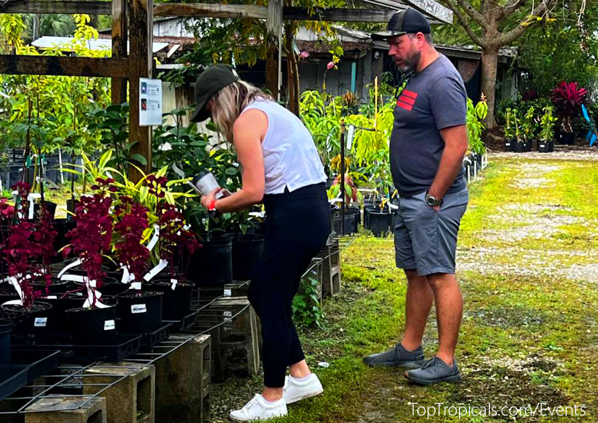 Top Tropicals Plant Festival 