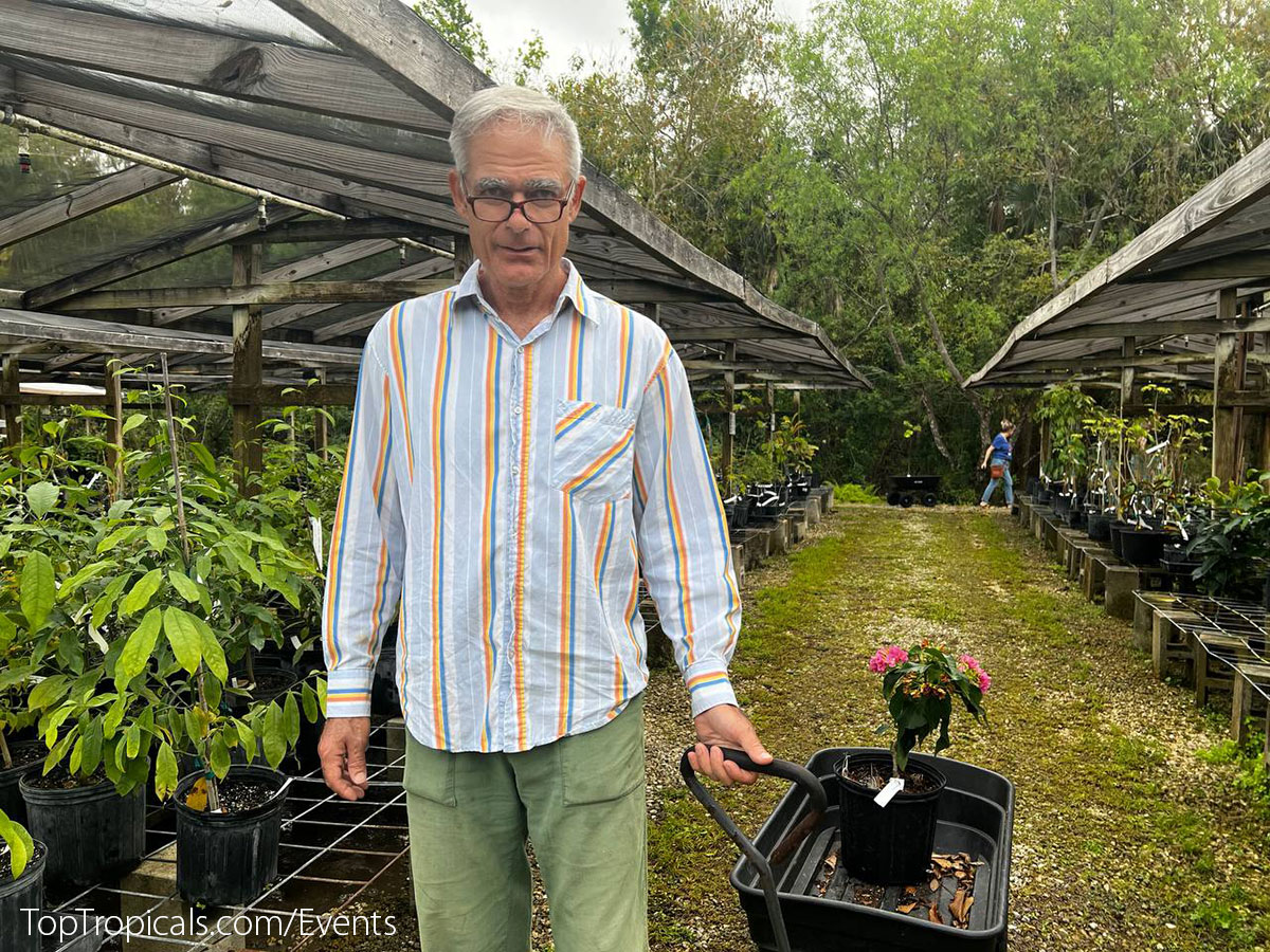 Customers of Top Tropicals Plant Festival 